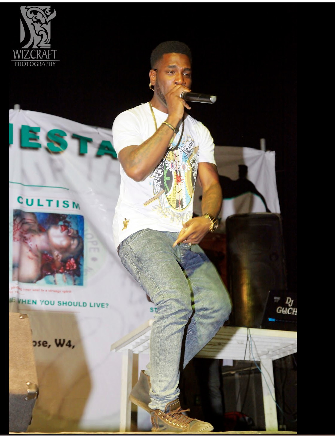 Artist performing at night concert