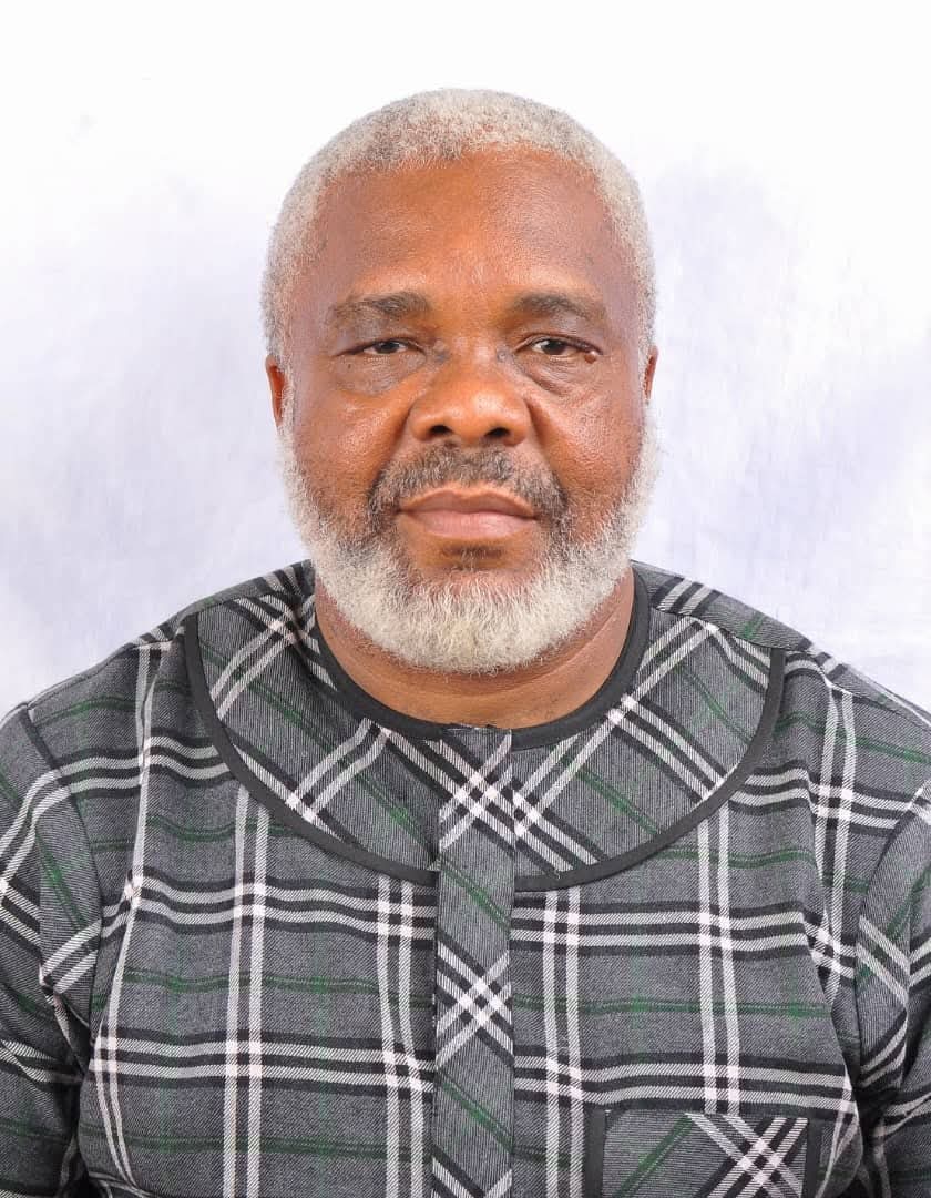 Prince Francis Chilaka, Senior Director of Programs & Operations at KUTH Foundation